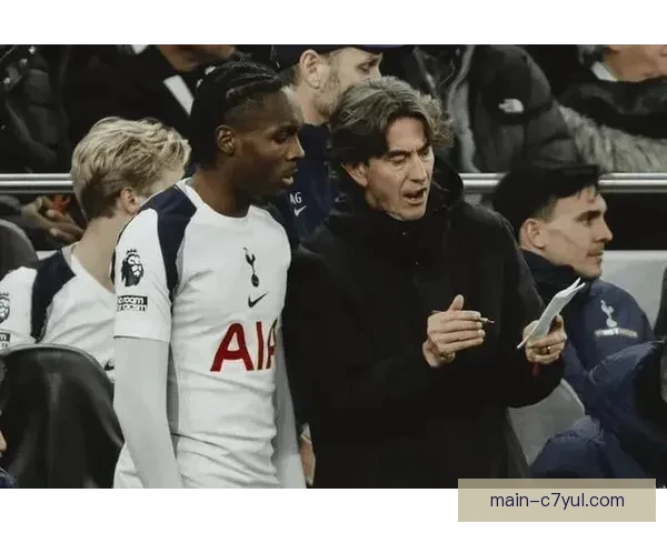 记者曝特尔惊讶热刺再无缘欧冠