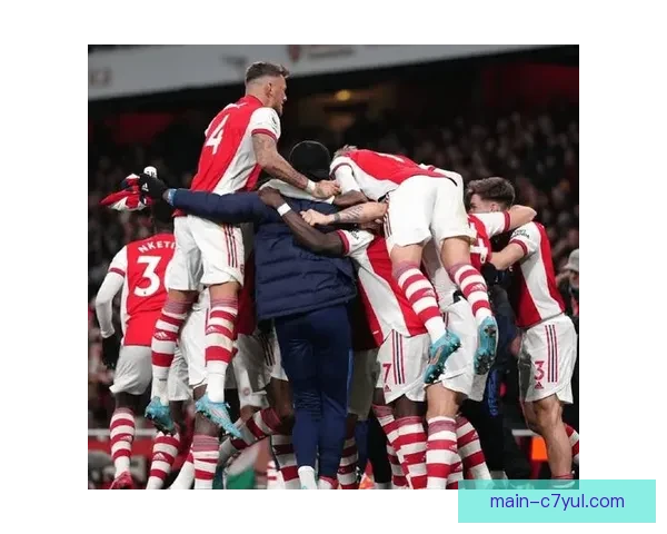 花钱买债券阿森纳季票可插队